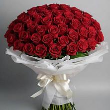 Букет 101 Красная роза Блэк Мэджик в Большой Джалге