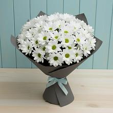 Букет цветов из:  Хризантемы #REPLACE_PRED# Большой Джалге