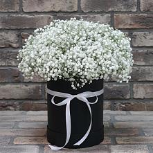Цветочная композиция из Гипсофила в шляпной коробке #REPLACE_PRED# Большой Джалге