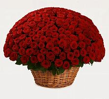 Премиум букет из: Розы в Большой Джалге